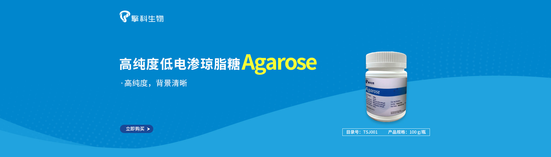 高纯度低电渗琼脂糖 Agarose