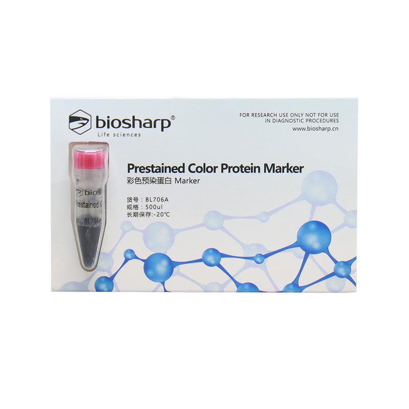 Biosharp BL706A 彩色预染蛋白Marker（11-180kDa）
