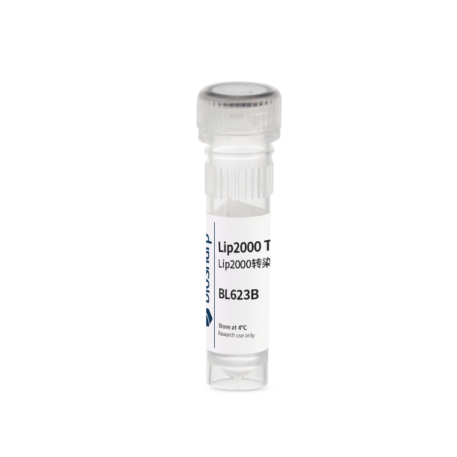 Biosharp BL623B 脂质体2000/Lip2000转染试剂
