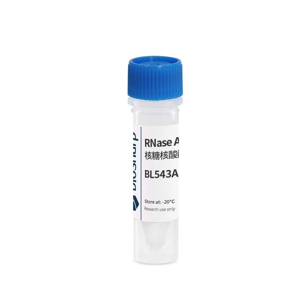 Biosharp BL543A RNase A溶液（核糖核酸酶 A,10mg/ml）