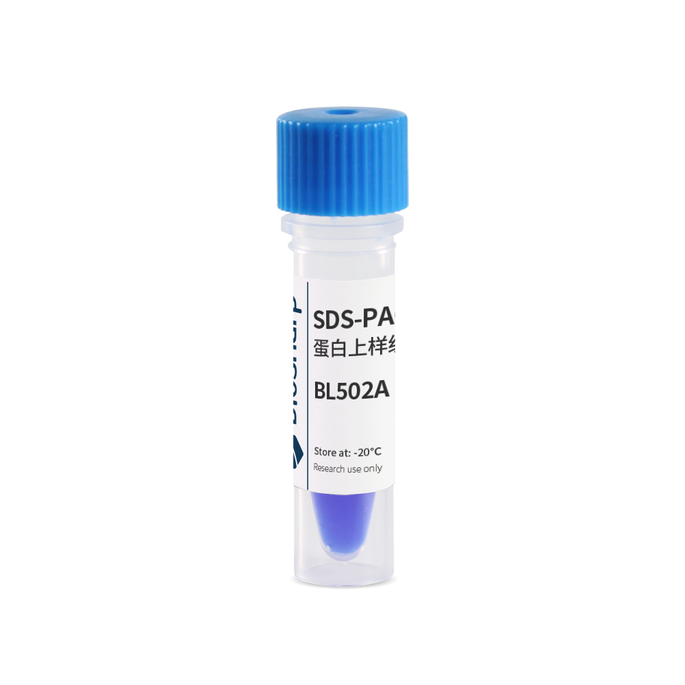 Biosharp BL502A SDS-PAGE蛋白上样缓冲液(5X)