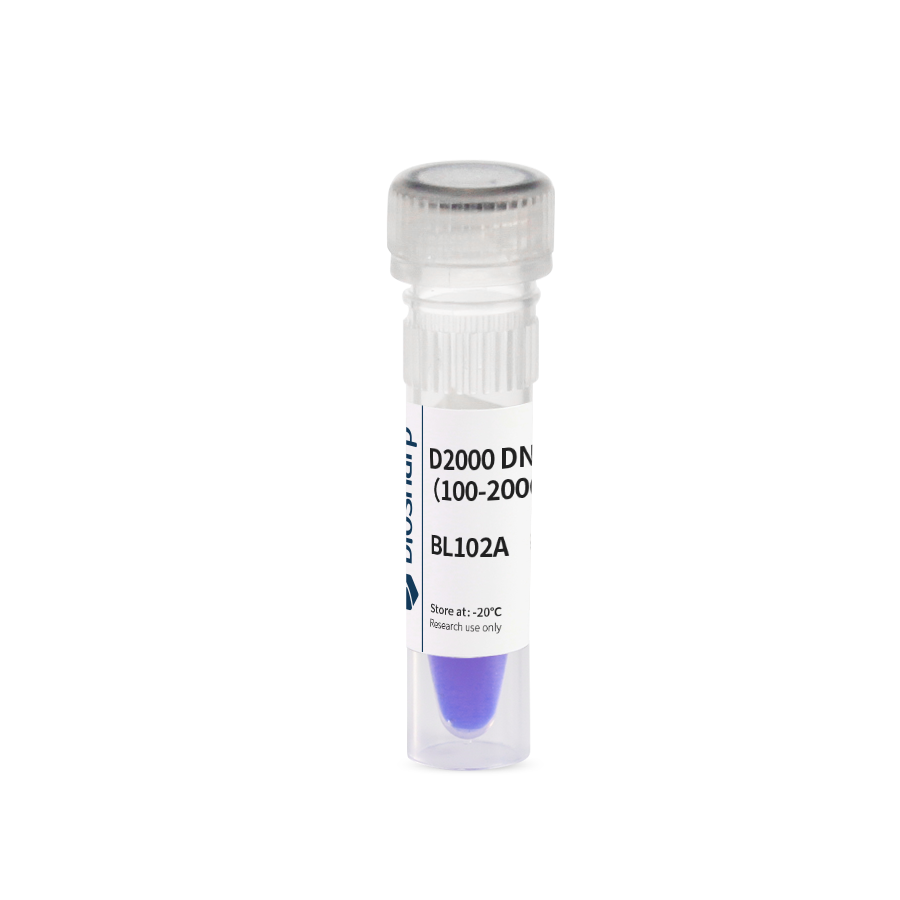 Biosharp BL102A D2000 DNA Marker（100-2000bp）