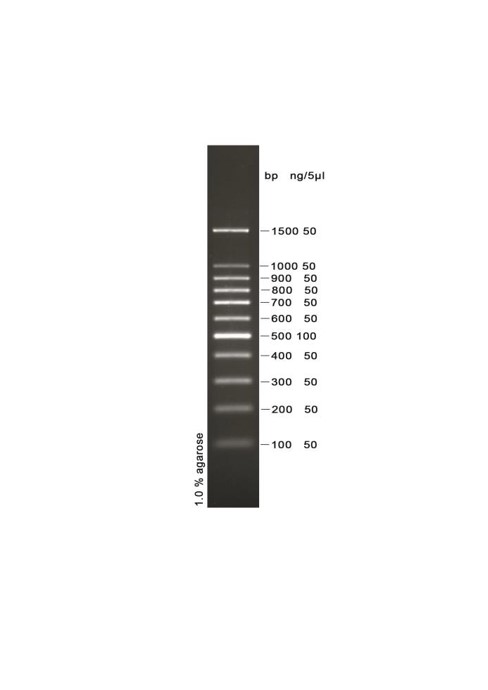 Biosharp BL101A 100bp DNA Marker（100-1500bp）