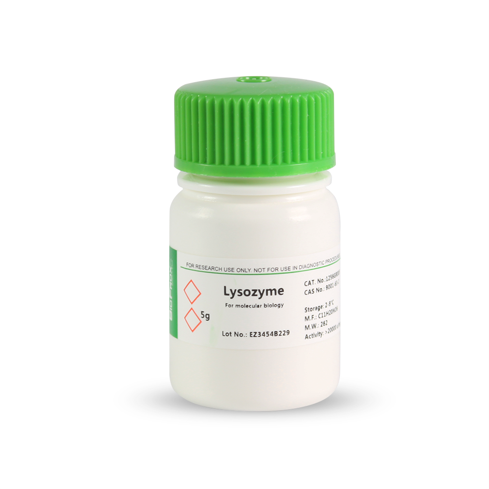 BioFroxx 1256GR005 溶菌酶/Lysozyme(Egg White)-20度