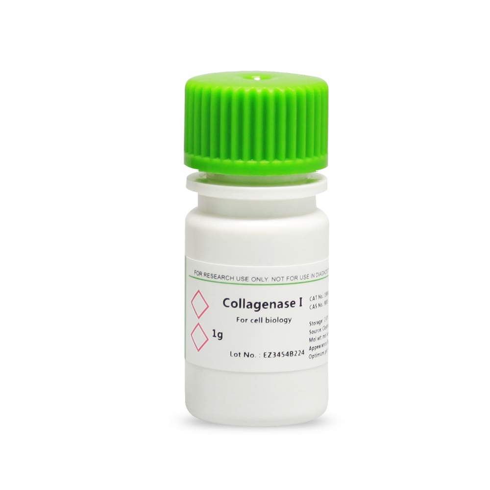 BioFroxx 1904GR001 胶原酶I型Collagenase I 2-8度