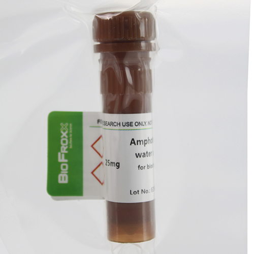 BioFroxx 1331MG025 两性霉素B（醇溶）