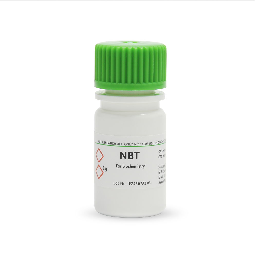 BioFroxx 1267GR001 氯化硝基四氮唑兰 NBT