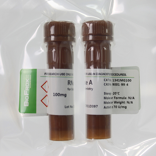 BioFroxx 1341MG100 核糖核酸酶A RNase A