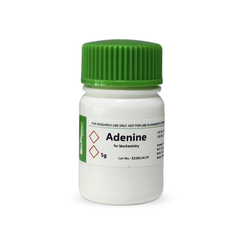 BioFroxx 1163GR005 腺嘌呤 Adenine