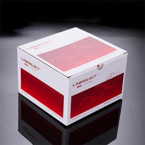 LABSELECT KIT-DNA-50 DNA纯化试剂盒
