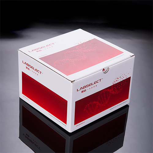 LABSELECT KIT-PMN-250 质粒小提试剂盒
