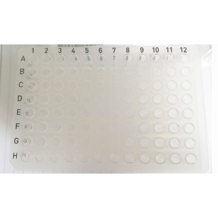 Axygen PCR-96-FLT-C 0.2ml透明无裙边96孔PCR板