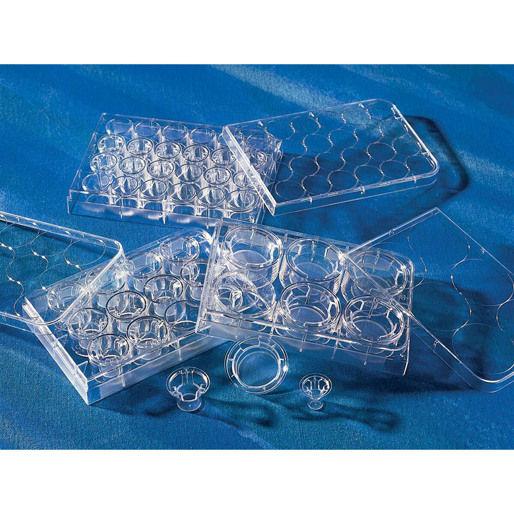Corning 3462 Transwell嵌套，含12孔板 (带聚脂膜12mm3.0um)