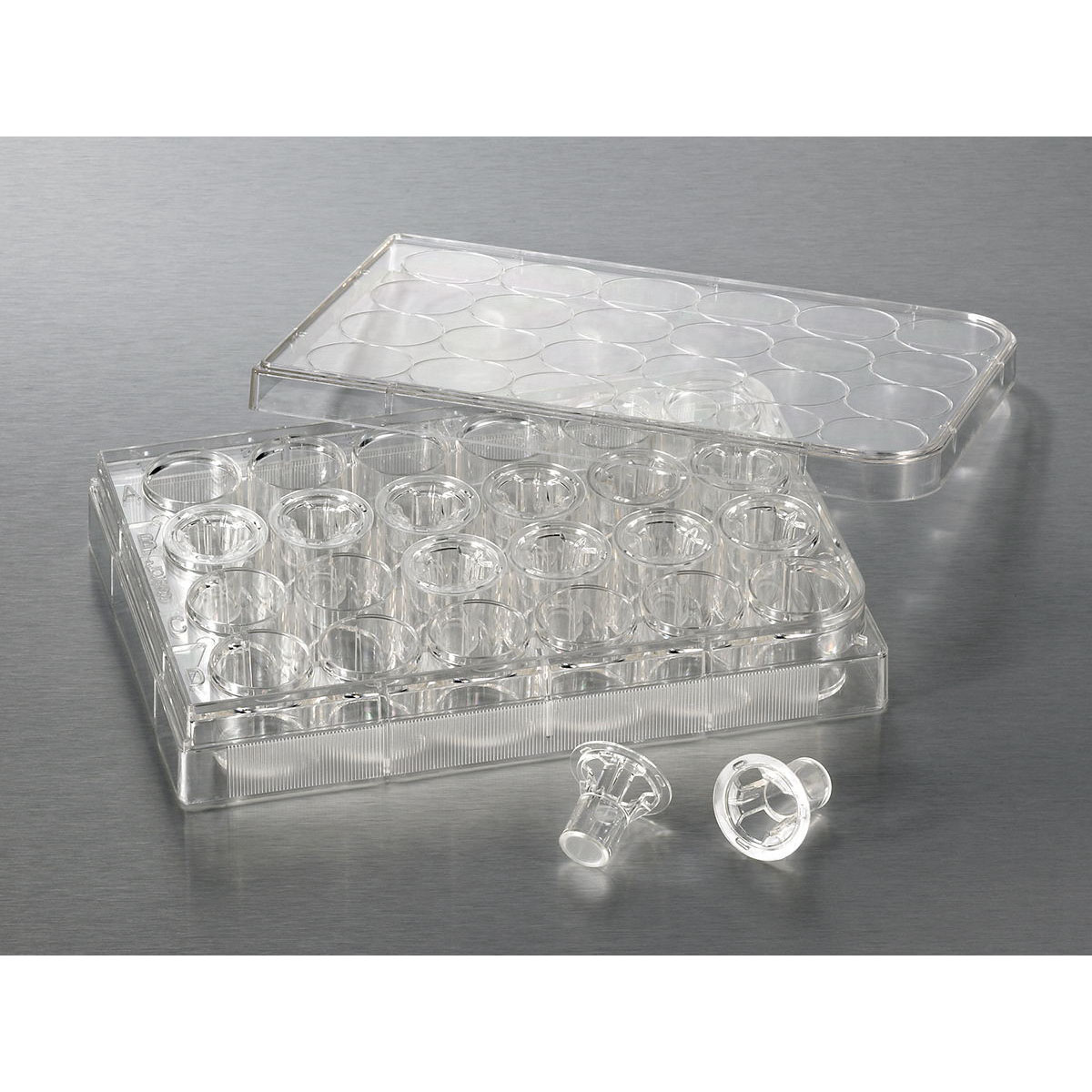 Corning 3422 Transwell嵌套，含24孔板（PC膜，6.5mm，孔径8.0um）