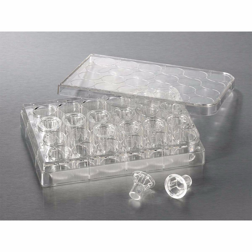 Corning 3413 Transwell嵌套，含24孔板 (带聚碳酸脂膜6.5mm0.4um)