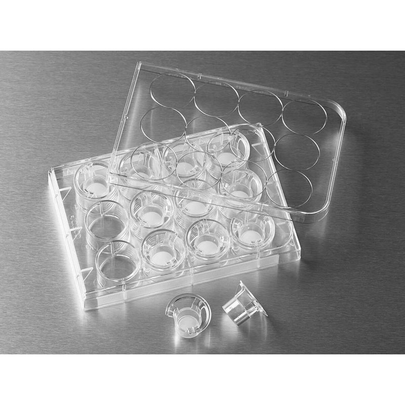 Corning 3402 Transwell嵌套，含12孔板 (带聚碳酸脂膜12mm3.0um)