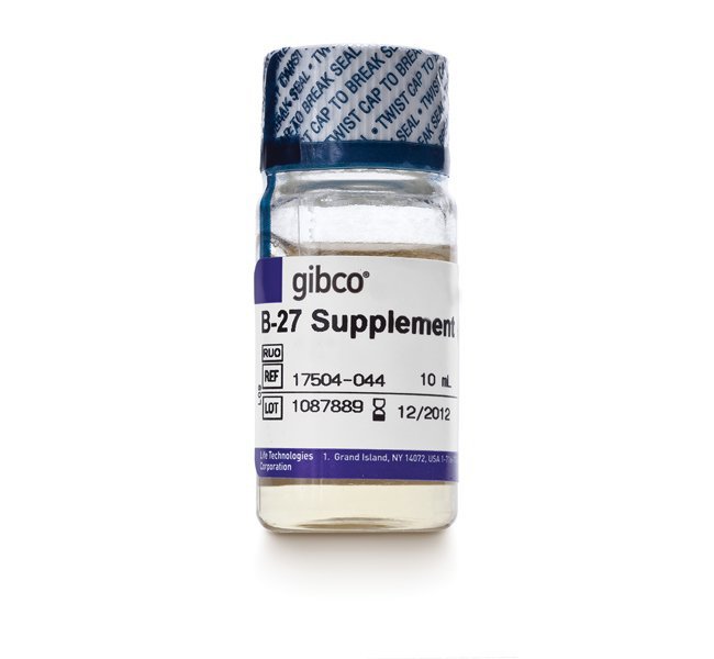 Gibco 17504-044 B-27无血清添加剂（50X）
