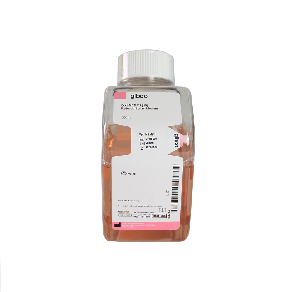 Gibco 31985-070 Opti-MEM I 减血清培养基（含L-谷氨酰胺）