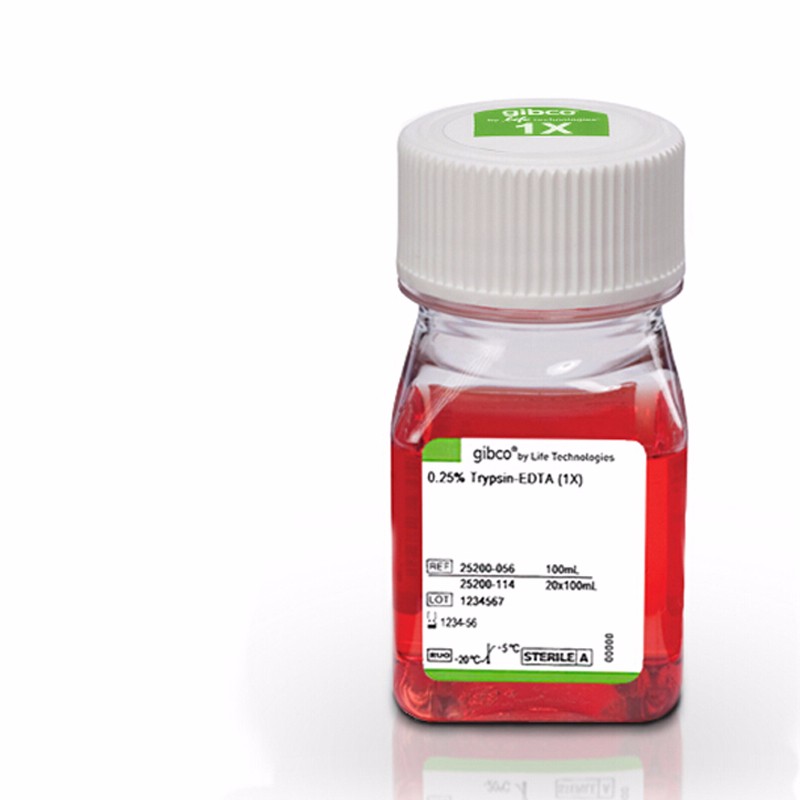 Gibco 25200-056 胰酶细胞消化液（0.25%胰酶，含EDTA，含酚红）