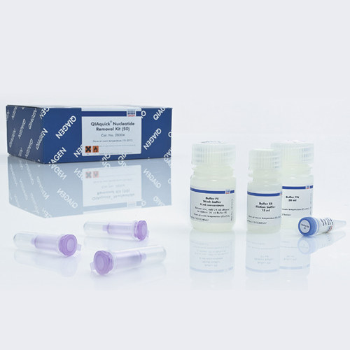 Qiagen 28304 DNA提取试剂盒