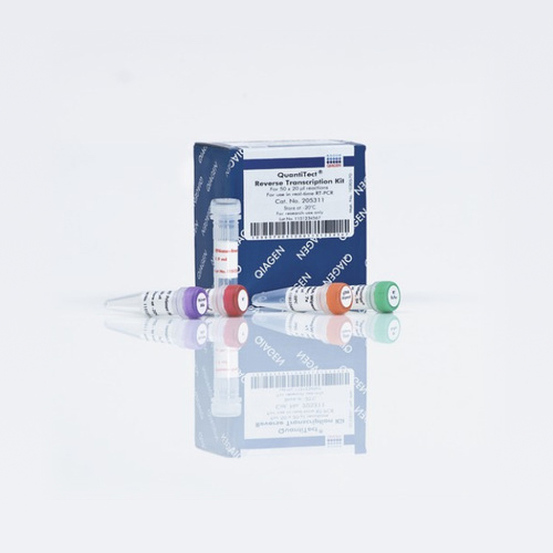 Qiagen 205311 反转录试剂盒