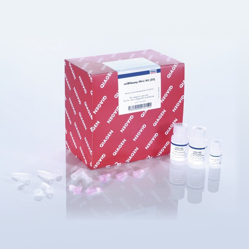 Qiagen 217004 (主1038703 副1023537)miRNA和总RNA纯化试剂盒