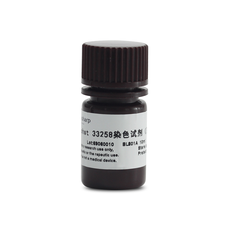 Biosharp BL801A Hoechst 33258染色试剂（即用型4ug/ml ）
