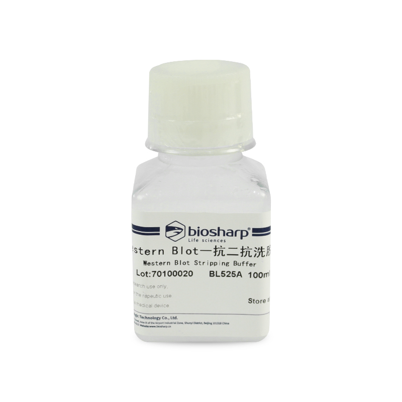 Biosharp BL525A Western Blot一抗二抗洗脱液