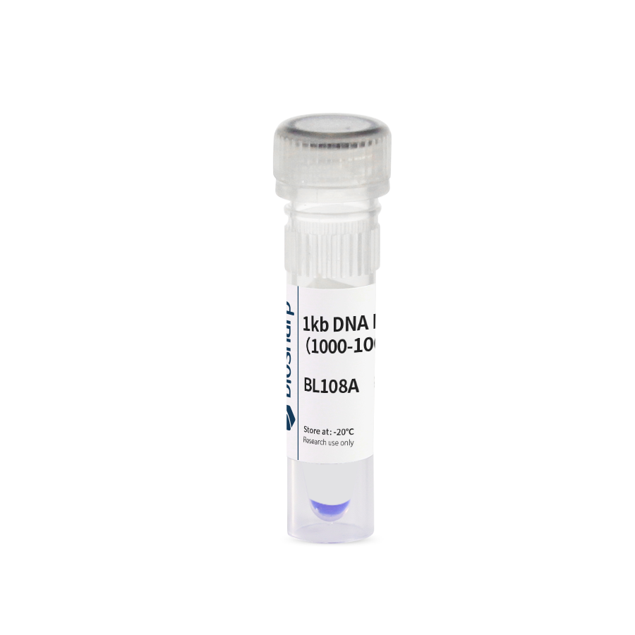 Biosharp BL108A 试剂1kb DNA Marker（1000-10000bp）