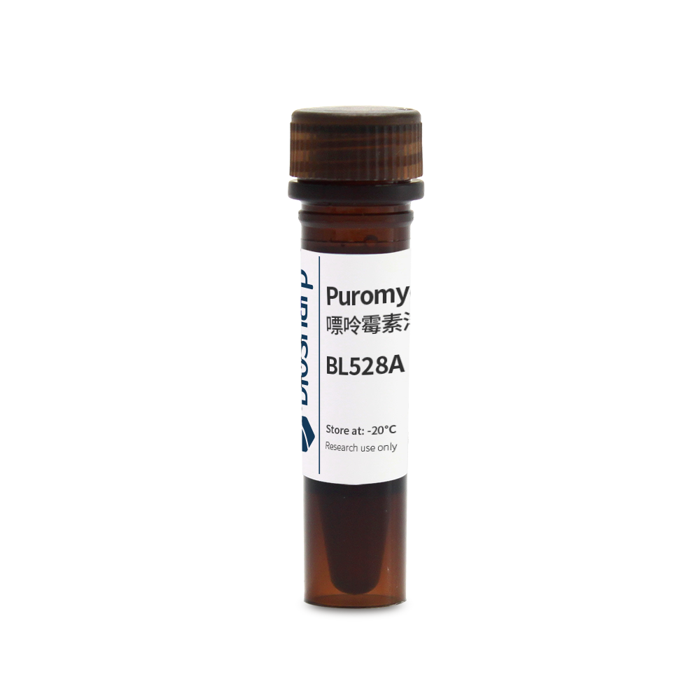 Biosharp BL528A 嘌呤霉素溶液