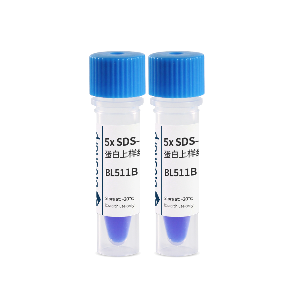 Biosharp BL511B 5x SDS-PAGE蛋白上样缓冲液（非还原型）