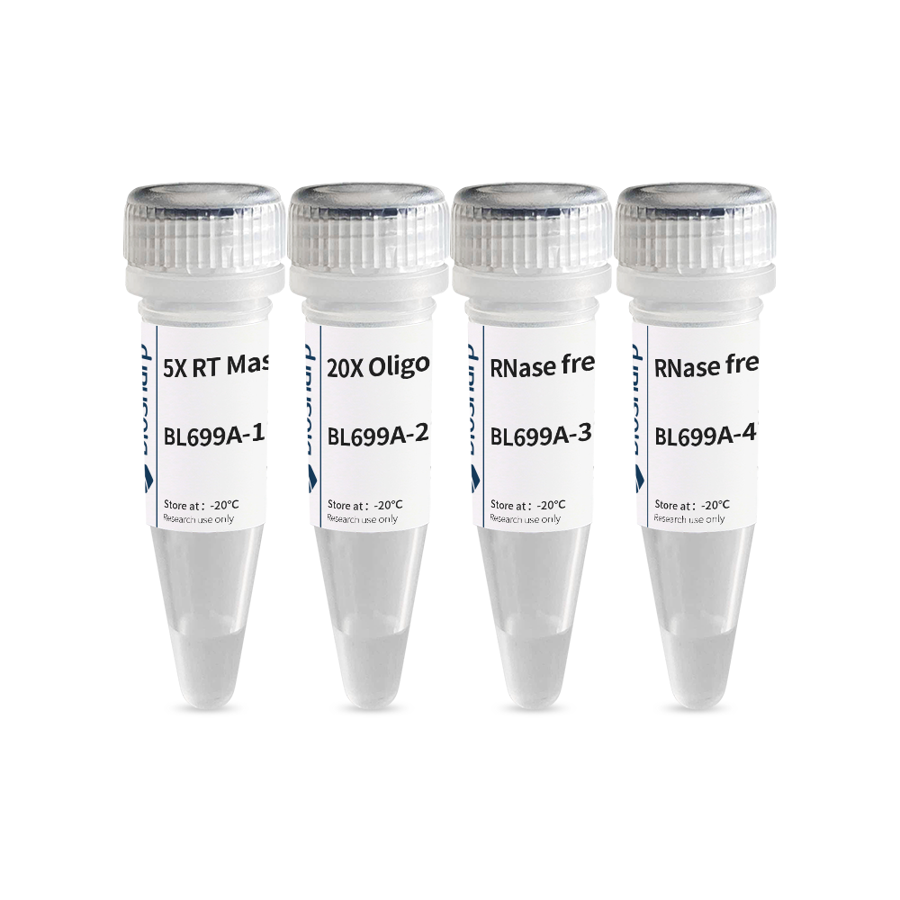 Biosharp BL699A 逆转录试剂盒（含 DNA 酶）