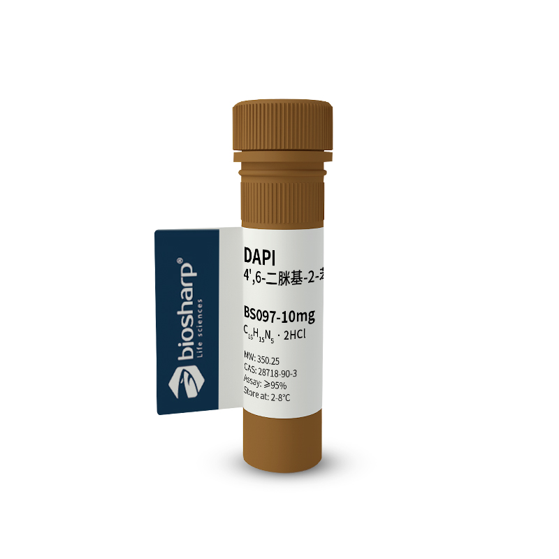 Biosharp BS097-10mg 试剂 DAPI