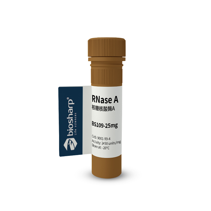 Biosharp BS109-25mg RNase A 核糖核酸酶A