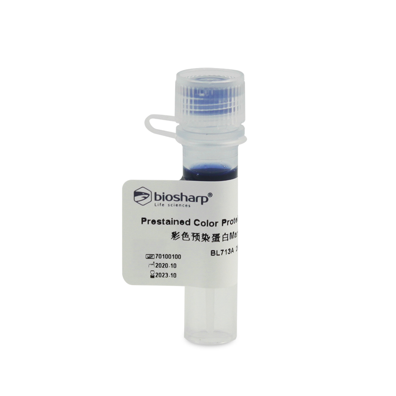 Biosharp BL713A 彩色预染蛋白Marker（15-130kDa)