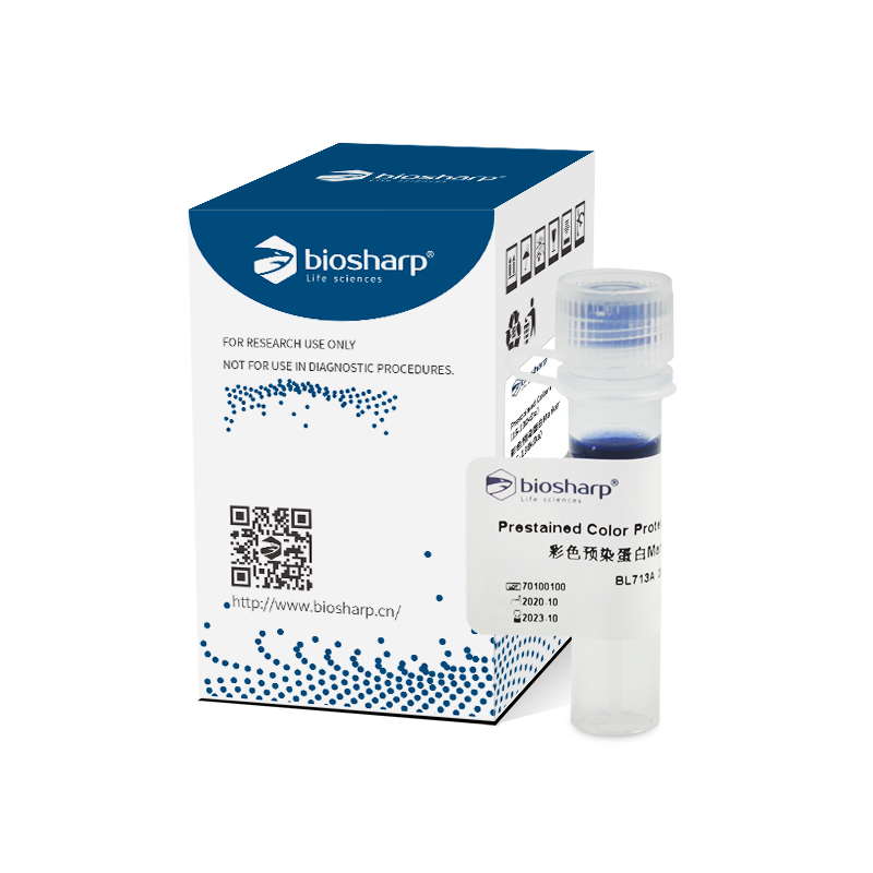 Biosharp BL713A 彩色预染蛋白Marker（15-130kDa)
