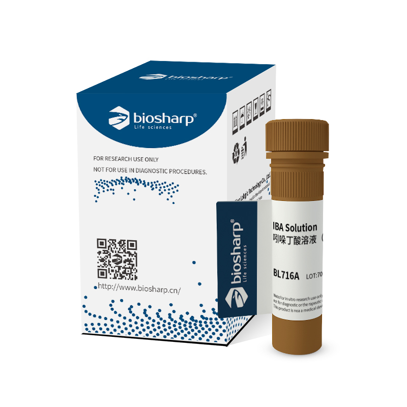 Biosharp BL716A 吲哚丁酸溶液（IBA）1mg/ml