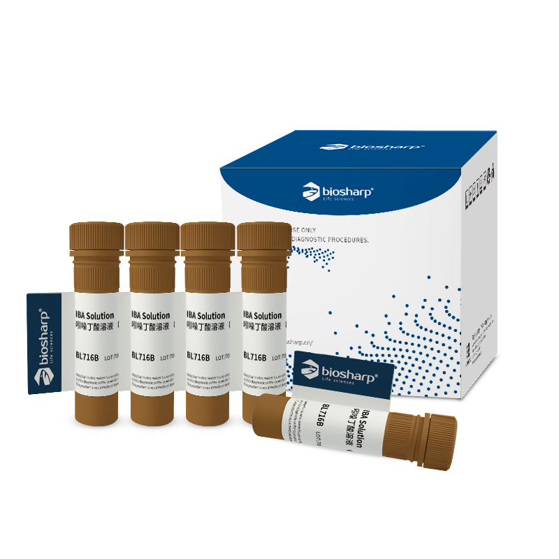 Biosharp BL716B 吲哚丁酸溶液（IBA）1mg/ml