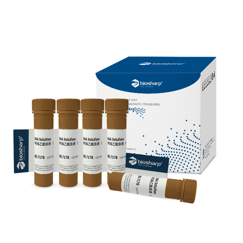 Biosharp BL717B 吲哚乙酸溶液（IAA）1mg/ml