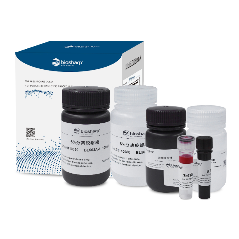 Biosharp BL563A 6% SDS-PAGE彩色凝胶快速制备试剂盒