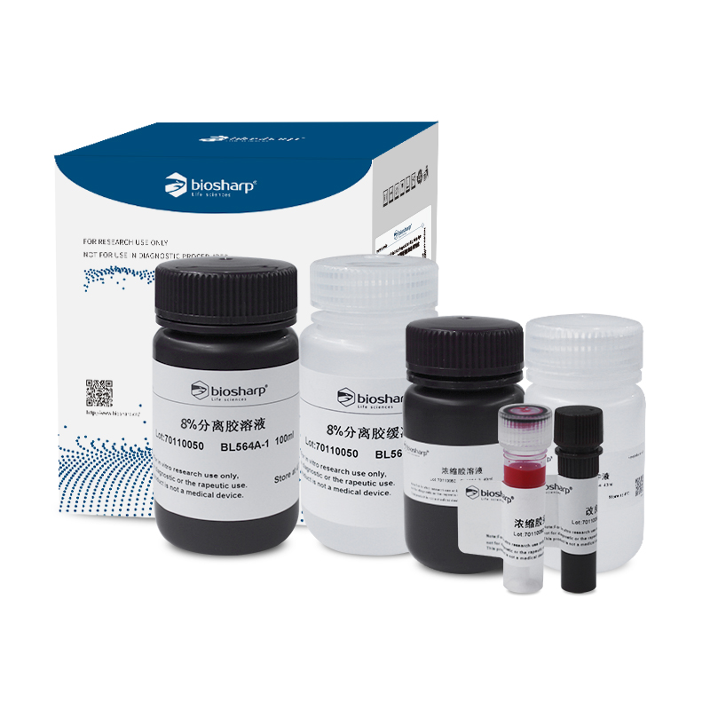 Biosharp BL564A 8% SDS-PAGE彩色凝胶快速制备试剂盒