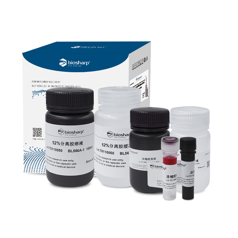Biosharp BL566A 12% SDS-PAGE彩色凝胶快速制备试剂盒