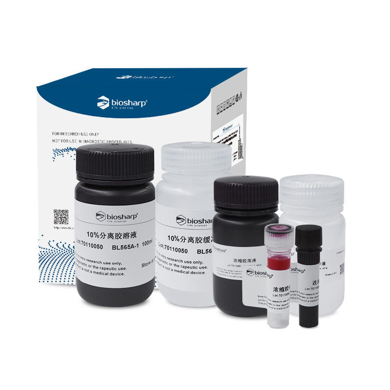 Biosharp BL565A 10% SDS-PAGE彩色凝胶快速制备试剂盒