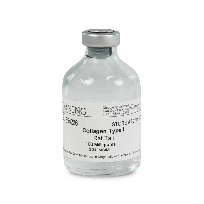 BD Biocoat 354236 鼠尾胶原蛋白I型, Collagen I Rat Tail
