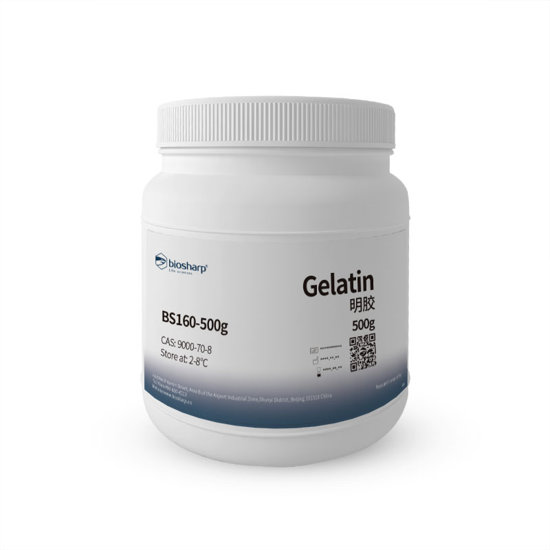Biosharp BS160-500g 明胶Gelatin