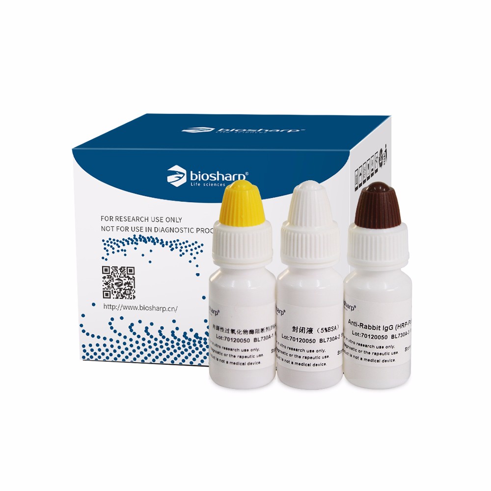 Biosharp BL730A 多聚物法免疫组化试剂盒（兔）即用型