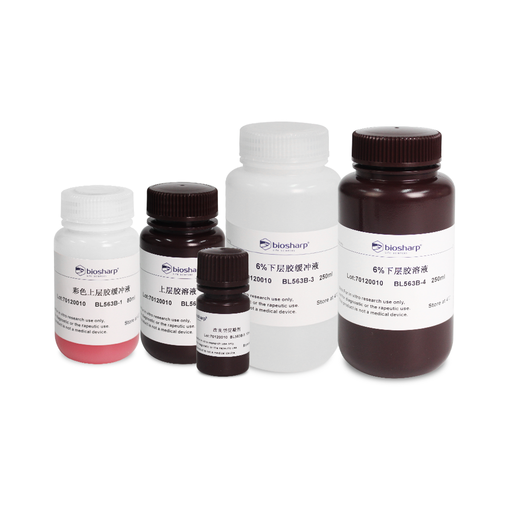 Biosharp BL563B 6% SDS-PAGE彩色凝胶快速制备试剂盒