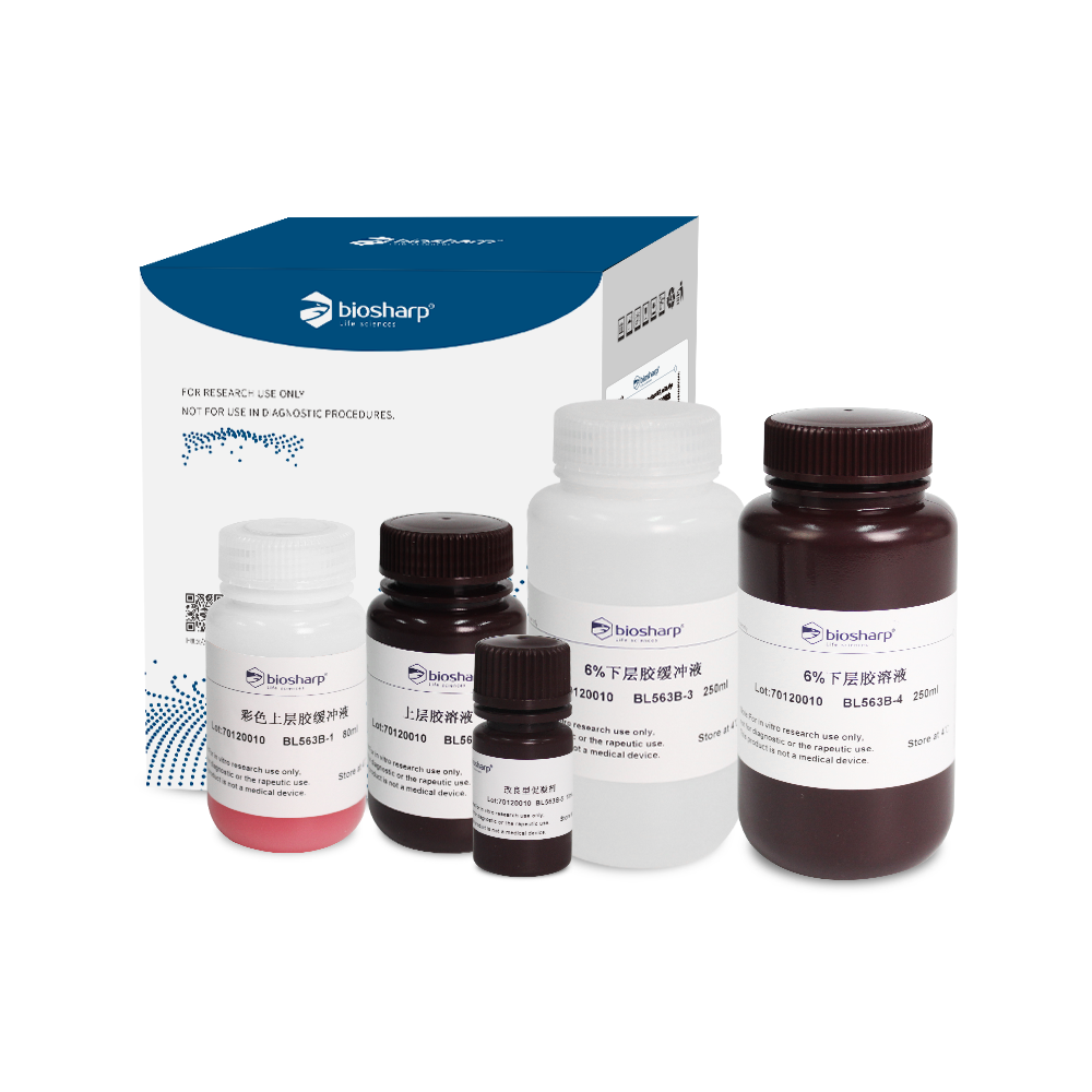 Biosharp BL563B 6% SDS-PAGE彩色凝胶快速制备试剂盒
