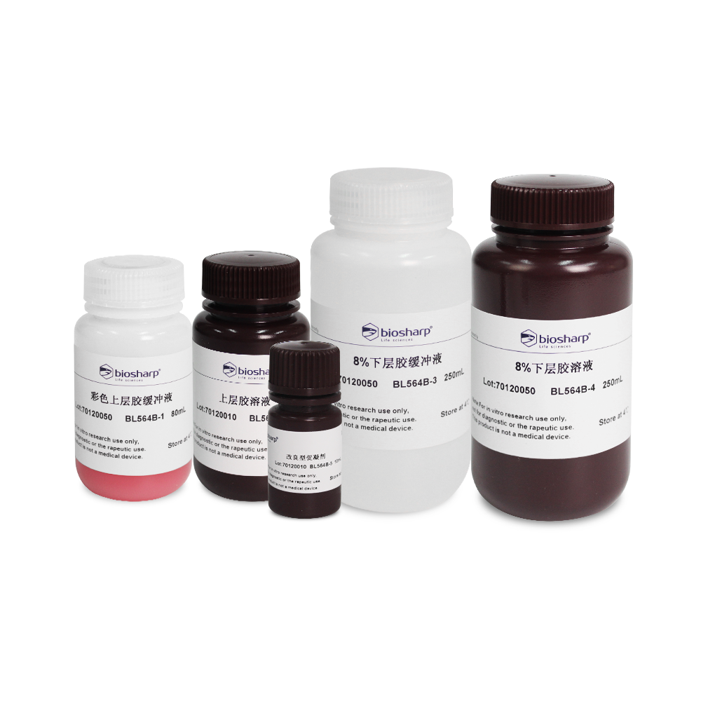 Biosharp BL564B 8% SDS-PAGE彩色凝胶快速制备试剂盒