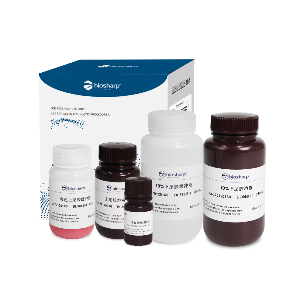Biosharp BL565B 10% SDS-PAGE彩色凝胶快速制备试剂盒